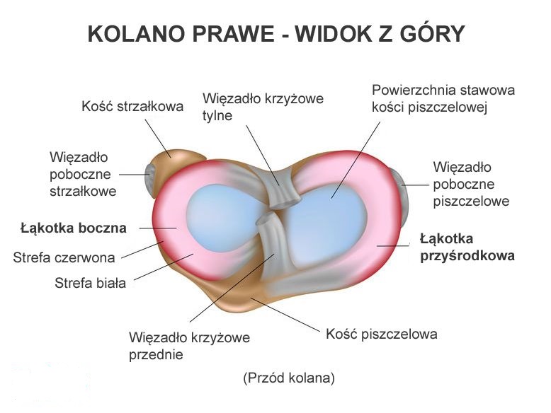 Uszkodzenie Łąkotek